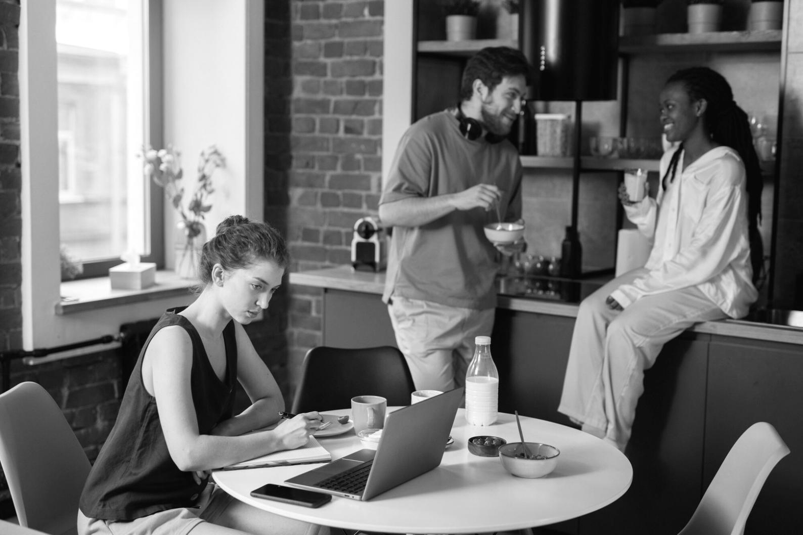 Metodología de trabajo colaborativo en zenoravile